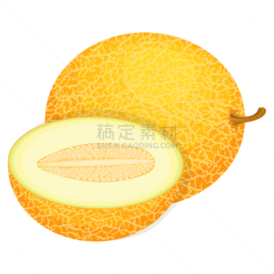 完整,健康生活方式,清新,有机食品,式样,矢量,瓜,卡通,水果,绘画插图