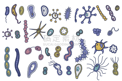细菌,生物学,酸,微生物学,健康保健,植物群,枯草芽孢杆菌,构图