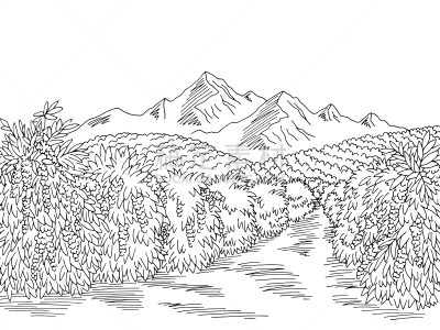 咖啡,草图,绘画插图,白色,矢量,地形,黑色,插画,空的,食品