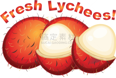 荔枝,清新,白色背景,鸡尾酒,白色,矢量,图像,水果,红毛丹,插画