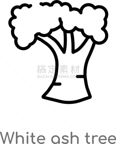 分离着色,轮廓,美国白蜡树,黑色,计算机图标,简单,白色,创造力,自然,收集