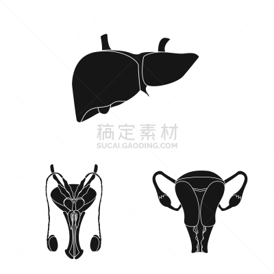 人,图标集,人类的生殖器官,卵巢,膀胱,胆囊,设计