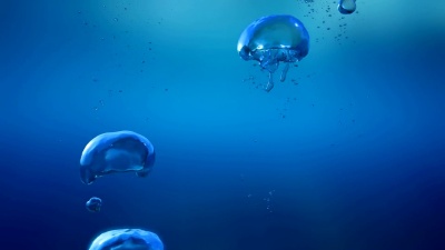 水下大泡沫