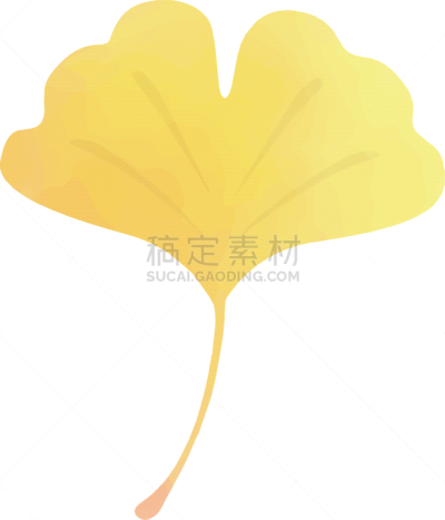 绘画插图,银杏,叶子,水彩画,自然,水彩颜料,草本,水彩画颜料,秋天,垂直画幅