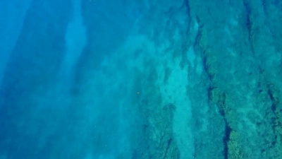 在毛伊岛海岸闪闪发光的蓝色浅滩上缓缓飞翔