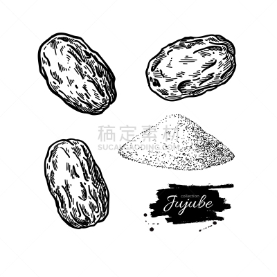 浆果,枣椰子,研磨食品,中国,绘画插图,枣糕,干的,矢量,植物学,动物手
