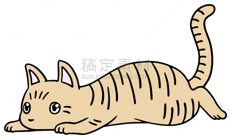 矢量,绘画插图,猫,惊骇,十二生肖,恐怖,简单,动物,宠物商店