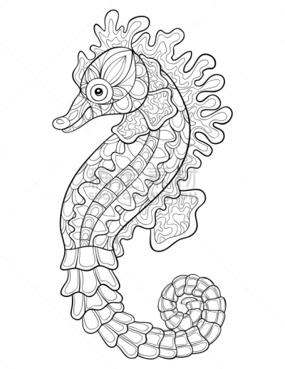 图像,海马,可爱的,成年的,戒童,彩色书,轮廓,自然,华丽的,书