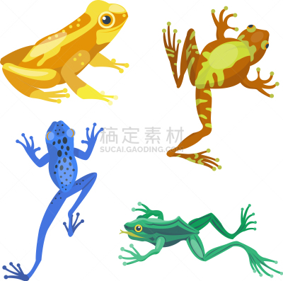 青蛙,动物,鸡尾酒,自然,计算机图标,卡通,可爱的,环境,野生动物,坐