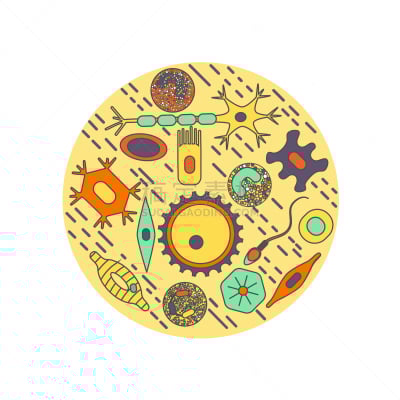 个性,白色,生物学,健康保健,嗜中性粒细胞,显微镜,人,打字,生病