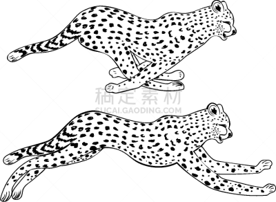 猎豹,白色,黑色,能力,迅速,艺术,自然,野生动物,剪影,跑