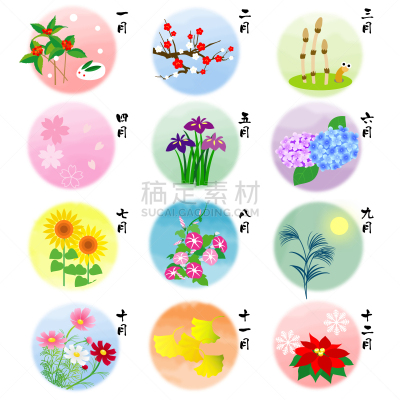 四季,日历,九月,一月,雪,二月,八仙花属,梅子,春天,3到4个月