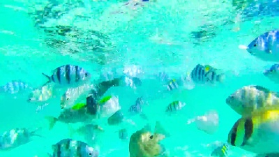 女孩在水下浮潜