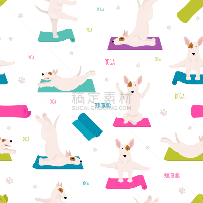 狗,瑜伽,牛头梗,注视镜头,可爱的,纯种犬,运动,玩具,锻炼,吸气
