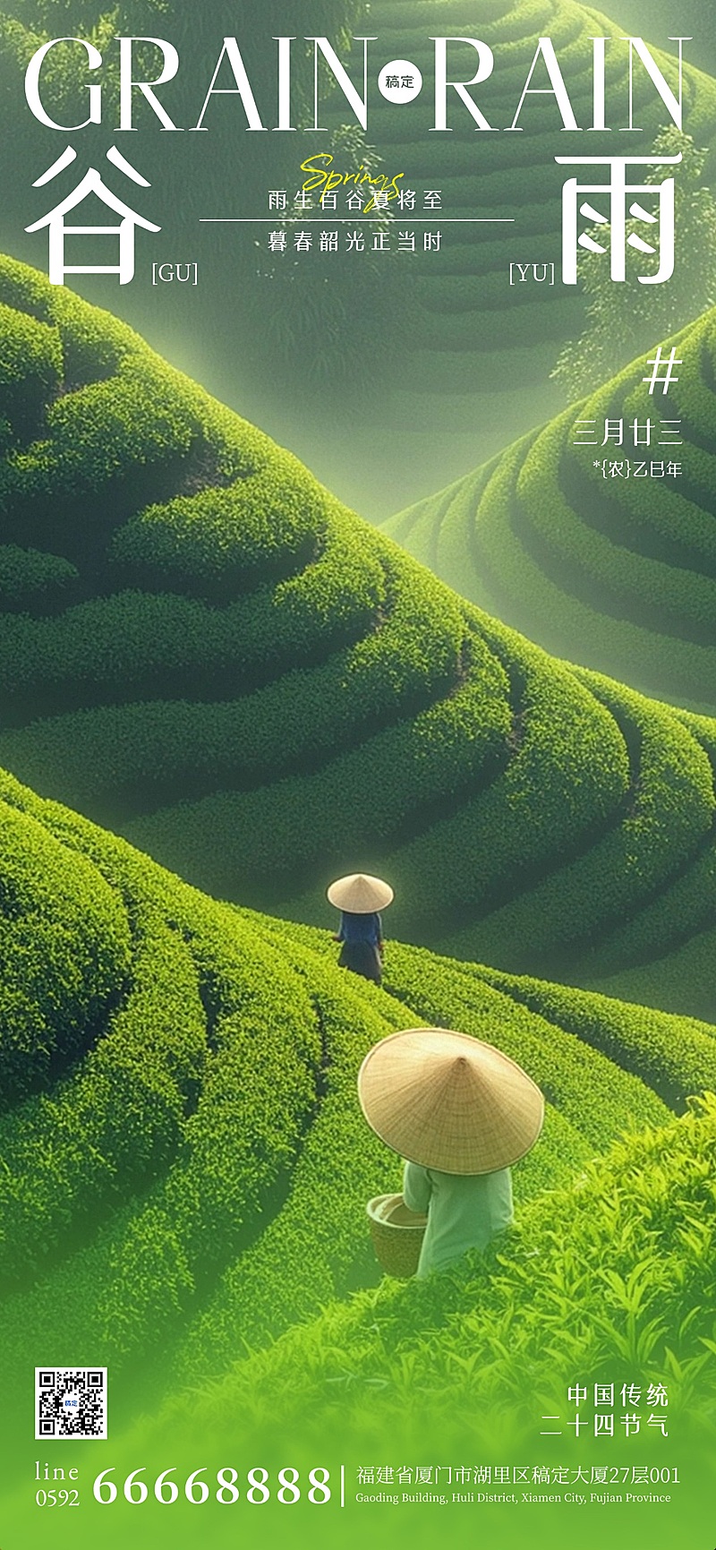 谷雨清新感肌理梯田海报