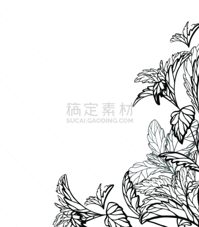 贺卡,模板,草图,甜叶菊,轮廓,草本,矢量,草药,植物学,画画