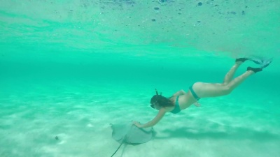 慢动作 年轻女子潜水水下抚摸友好的黄貂鱼射线