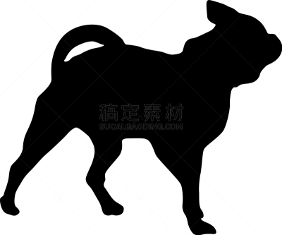 狗,白色背景,纯种犬,雪,哺乳纲,动物,吠声,剪影,训练