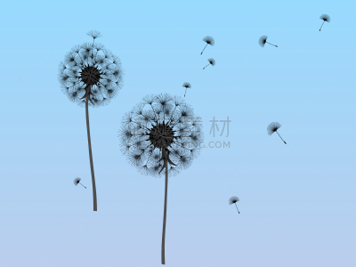 抽象,背景,过敏反应,清新,风,蒲公英,草,春天,品牌名称,吹