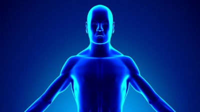 人体甲状腺解剖-医用X射线扫描