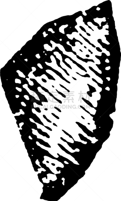 松树,数字2,背的，脊的,白色,矢量,图像,雕刻图像,黑色,复古