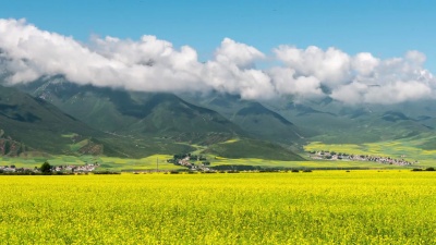 青海的风景