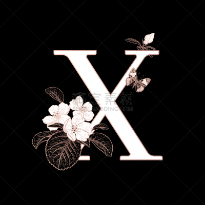 花朵,英文字母X,蝴蝶,枝,樱之花,请柬,背景分离,字母,华贵,装饰