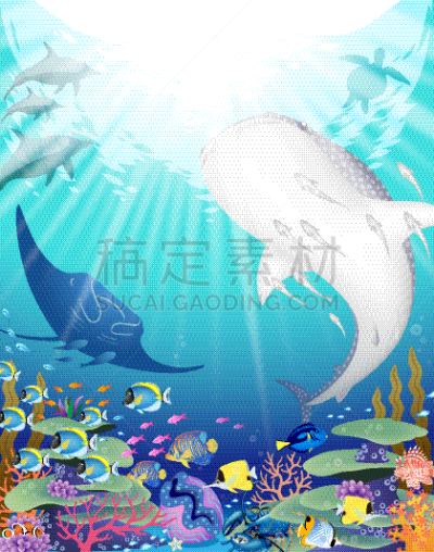 野外动物,海洋,蓝色,生活方式,旅途,热带气候,粉蓝颊纹鼻鱼,海豚,黄镊口鱼,蓝刺尾鱼