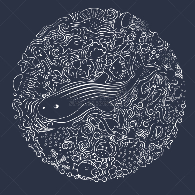 海洋,装饰品,飞鱼,鸡尾酒,螺线,图像,水母,鲸,海星,聚集