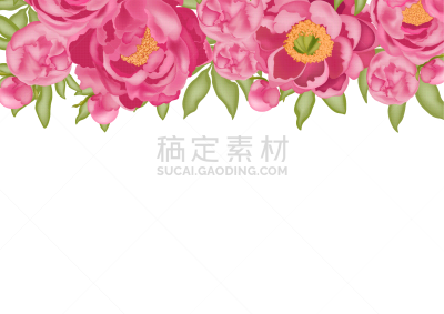 矢量,三维图形,绘画插图,图像特效,粉色,牡丹,水平画幅,叶子,绿色,背景