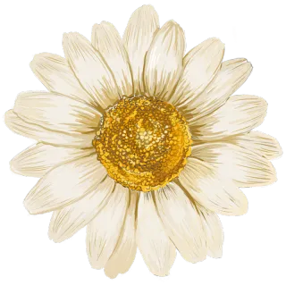 植物 植物高端免抠 植物素材下载 稿定素材