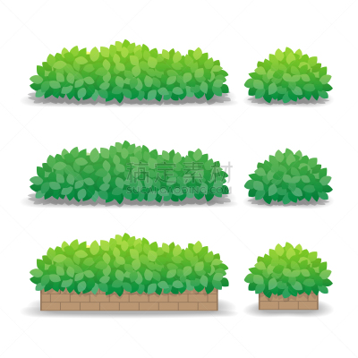 灌木,矢量,盆栽植物,户外,绘画插图,分离着色,植物群,绿色,白色背景,自然