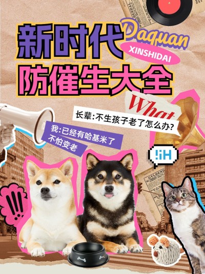 宠物哈基米晒照美拉德配色小红书封面