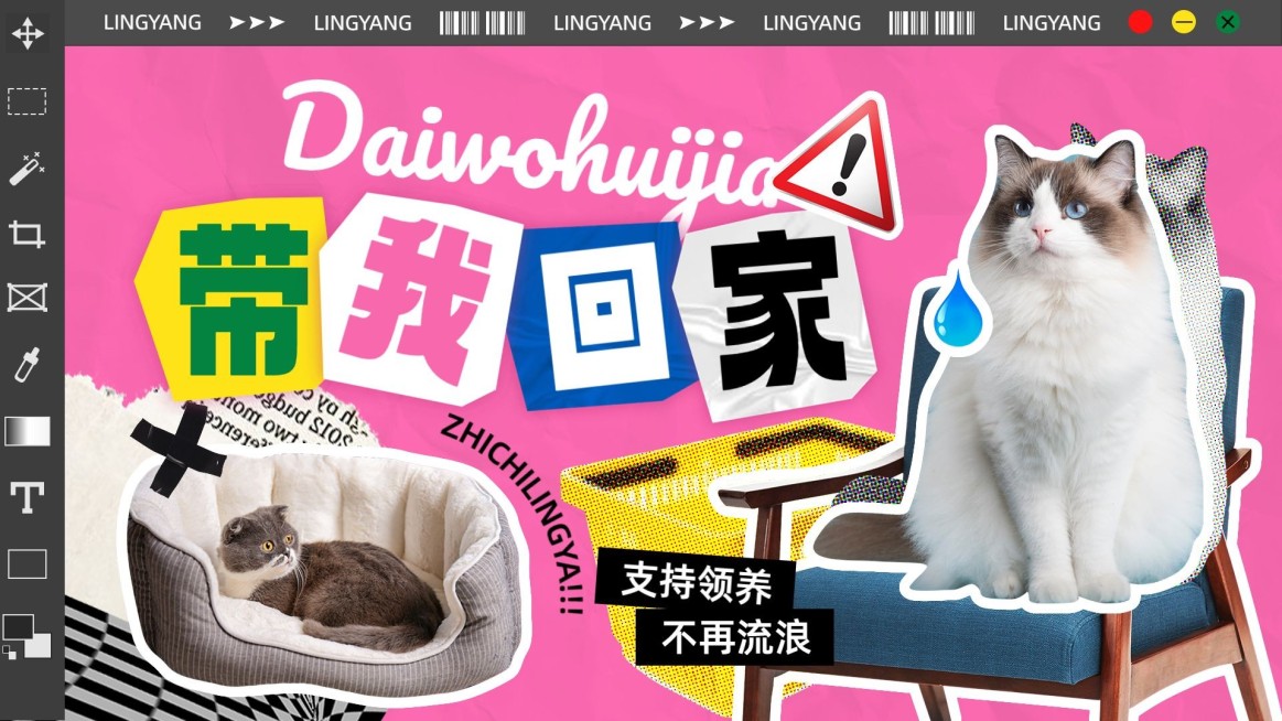 宠物救助领养宣传横版视频封面预览效果