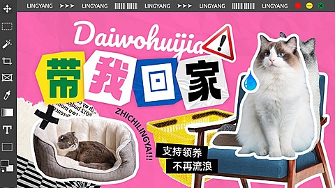宠物救助领养宣传横版视频封面