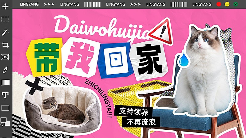 宠物救助领养宣传横版视频封面