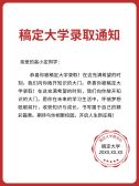 模板缩略图
