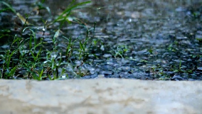 特写镜头雨