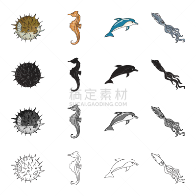 海豚,海马,动物,海胆,分离着色,轮廓,科玛,图像,海洋,收集