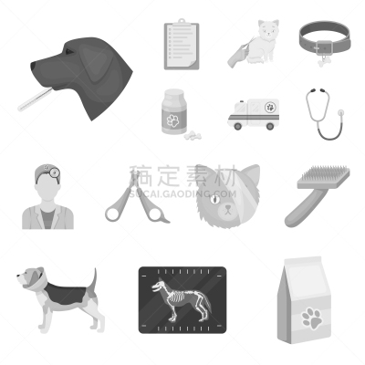 门诊部,兽医,分离着色,图像,猫,狗,动物,绷带,收集