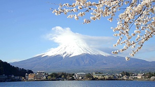 蓝天富士山和樱花背后的川口湖