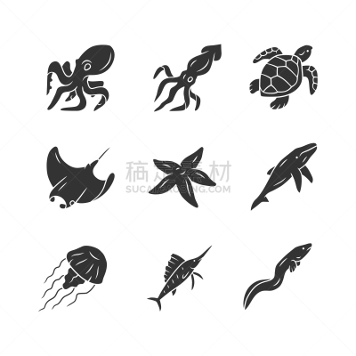 符号,绘画插图,章鱼,水族馆,海星,水母,海洋,矢量,鲸,鱼类