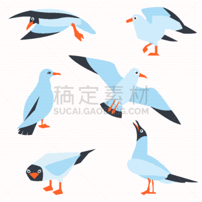 可爱的,自然美,鸟类,海洋,海鸥,卡通,事件,野生动物,大西洋,模板