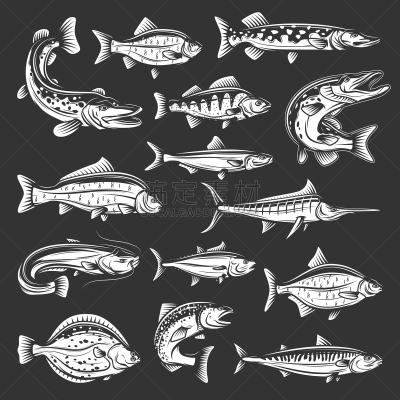 海洋,鲔鱼,鱼类,河流,马林鱼,三文鱼,鲤鱼,运动,渔业,一个物体