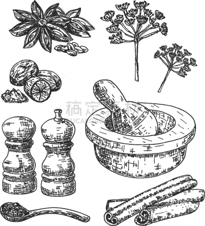 草本,香料,墨水,动物手,有机食品,自然,清新,绘制,收集,烹调