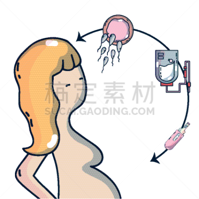 卵子,女人,精子,卵巢,人,生物学,健康保健,遗传研究