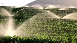 灌溉设备，农业喷水器，灌溉农田作物田地慢动作