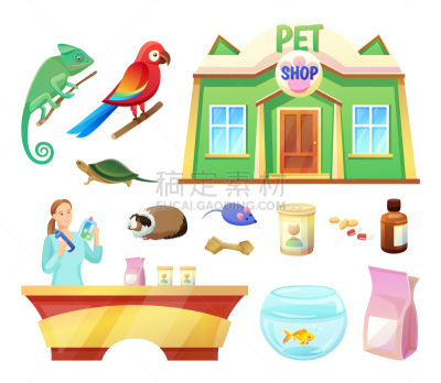 宠物商店,商品,动物主题,商务,背景分离,食品,玩具,色彩鲜艳,海龟,支撑