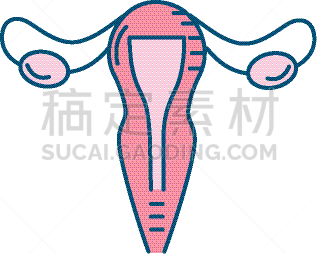 女性,输卵管,健康保健,人,图像,枝繁叶茂,女人