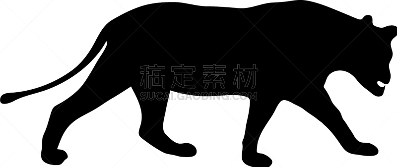 白色,黑色,雌狮,慢跑,形状,巨大的,力量,危险,自然,剪影